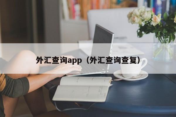 外汇查询app（外汇查询查复）