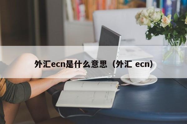 外汇ecn是什么意思（外汇 ecn）