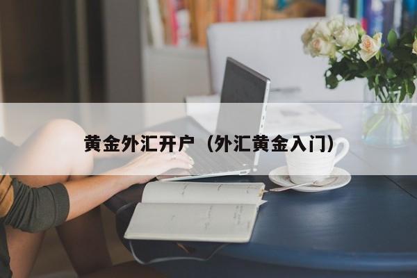 黄金外汇开户（外汇黄金入门）