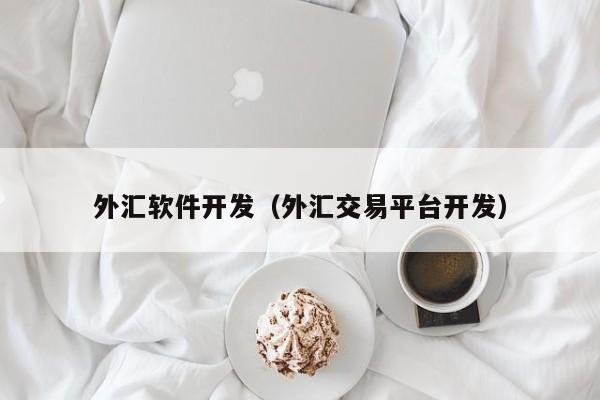 外汇软件开发（外汇交易平台开发）