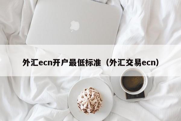 外汇ecn开户最低标准（外汇交易ecn）