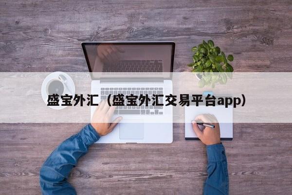 盛宝外汇（盛宝外汇交易平台app）