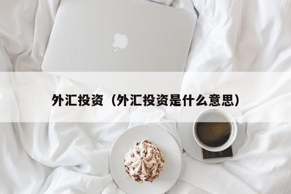 外汇投资（外汇投资是什么意思）