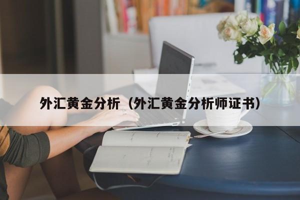 外汇黄金分析（外汇黄金分析师证书）