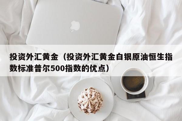 投资外汇黄金（投资外汇黄金白银原油恒生指数标准普尔500指数的优点）