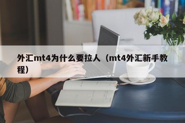 外汇mt4为什么要拉人（mt4外汇新手教程）