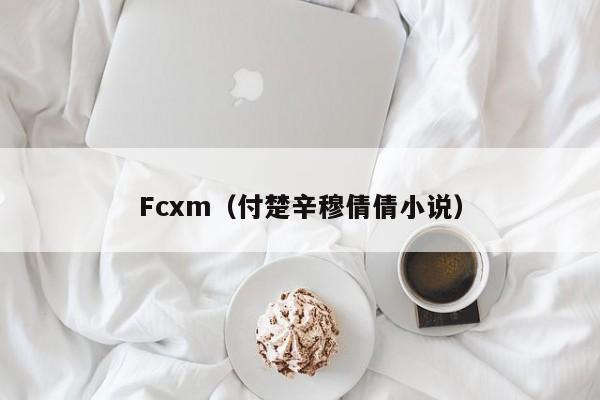 Fcxm（付楚辛穆倩倩小说）