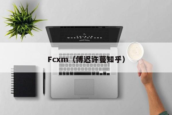 Fcxm（傅迟许蔓知乎）