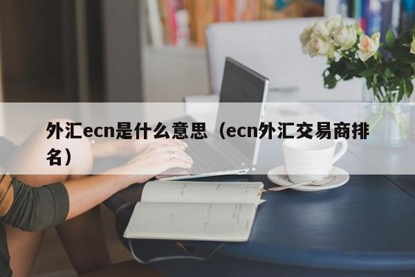 外汇ecn是什么意思（ecn外汇交易商排名）