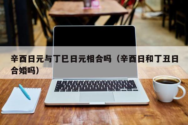 辛酉日元与丁巳日元相合吗（辛酉日和丁丑日合婚吗）