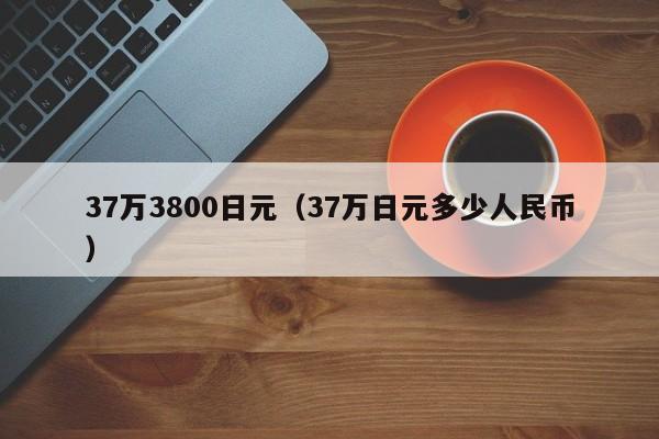 37万3800日元（37万日元多少人民币）