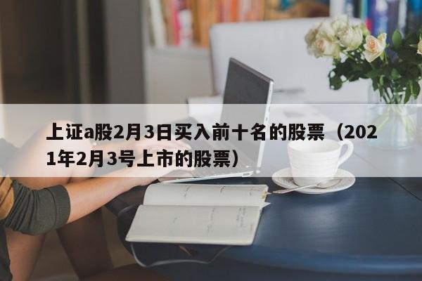 上证a股2月3日买入前十名的股票（2021年2月3号上市的股票）