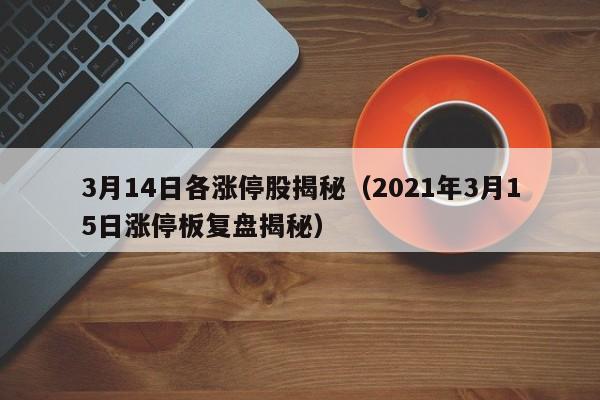 3月14日各涨停股揭秘（2021年3月15日涨停板复盘揭秘）