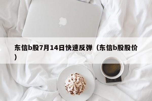 东信b股7月14日快速反弹（东信b股股价）