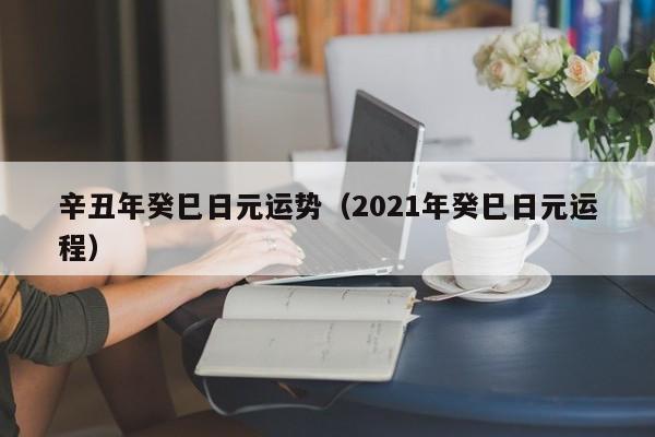 辛丑年癸巳日元运势（2021年癸巳日元运程）