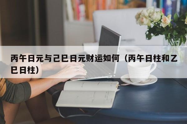 丙午日元与己巳日元财运如何（丙午日柱和乙巳日柱）