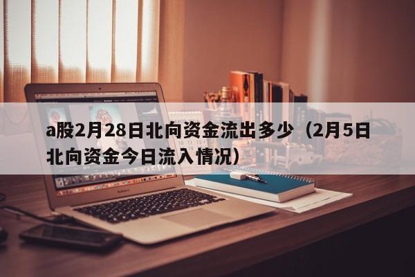 a股2月28日北向资金流出多少（2月5日北向资金今日流入情况）