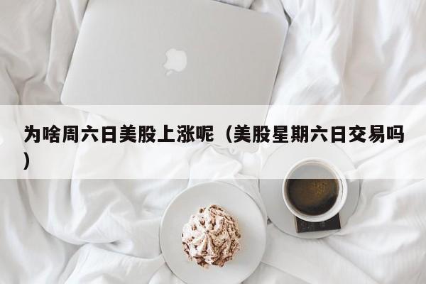 为啥周六日美股上涨呢（美股星期六日交易吗）
