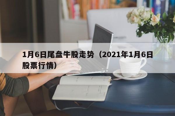 1月6日尾盘牛股走势（2021年1月6日股票行情）