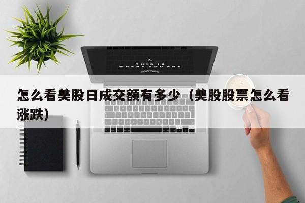 怎么看美股日成交额有多少（美股股票怎么看涨跌）
