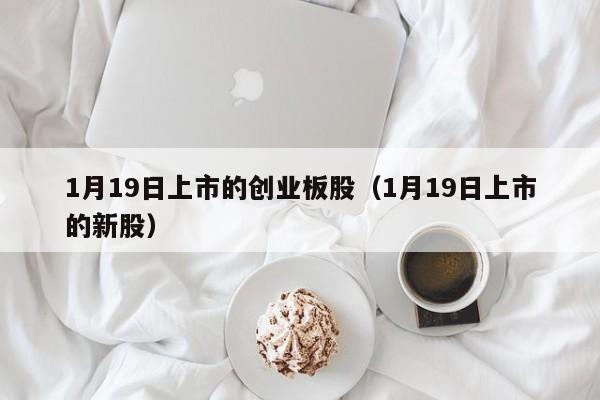 1月19日上市的创业板股（1月19日上市的新股）