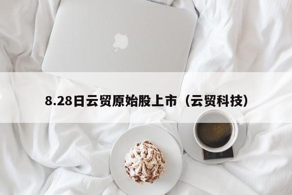 8.28日云贸原始股上市（云贸科技）