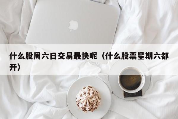什么股周六日交易最快呢（什么股票星期六都开）