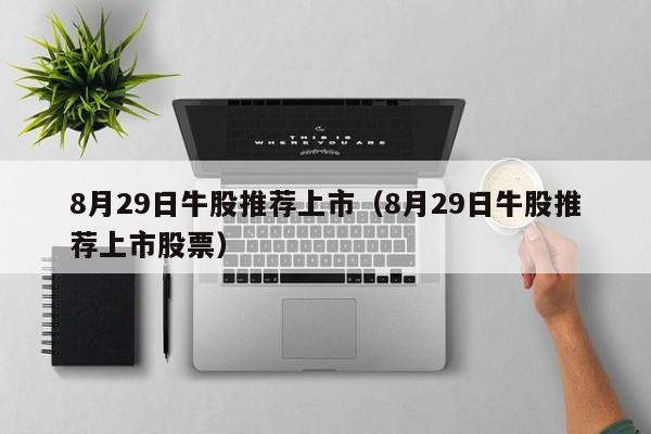 8月29日牛股推荐上市（8月29日牛股推荐上市股票）