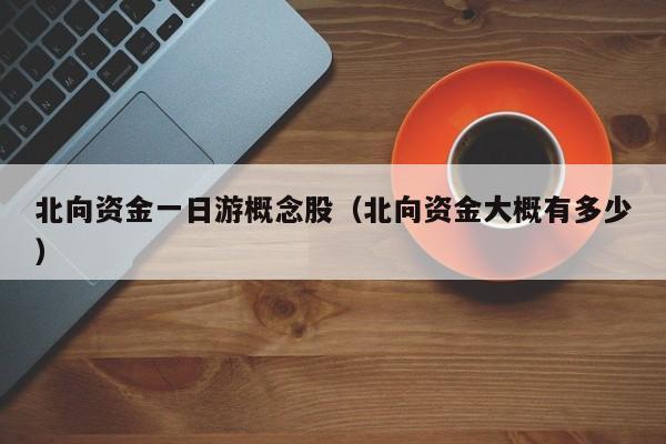 北向资金一日游概念股（北向资金大概有多少）