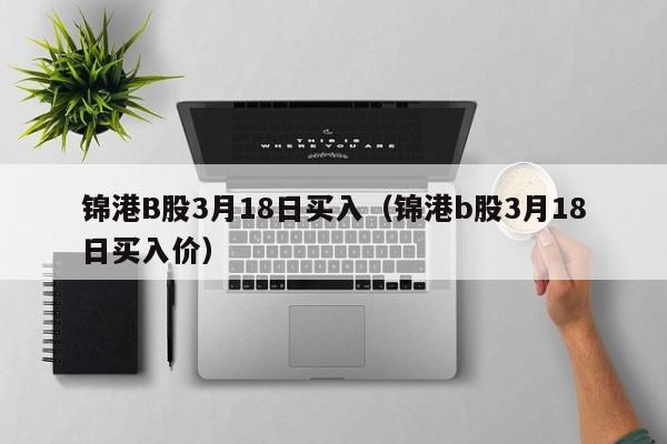 锦港B股3月18日买入（锦港b股3月18日买入价）