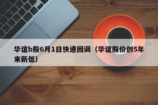 华谊b股6月1日快速回调（华谊股价创5年来新低）