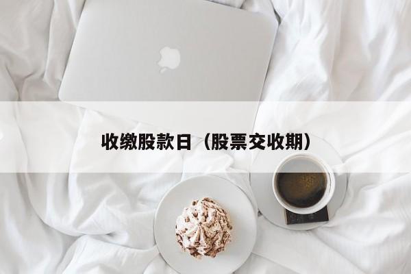 收缴股款日（股票交收期）