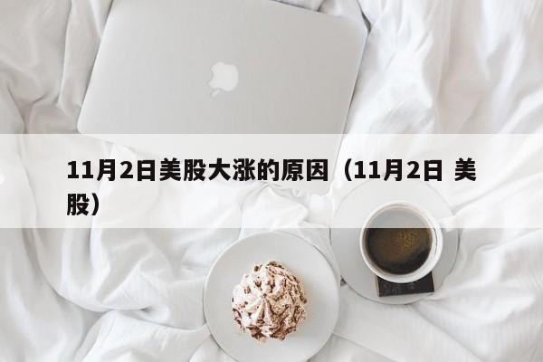 11月2日美股大涨的原因（11月2日 美股）