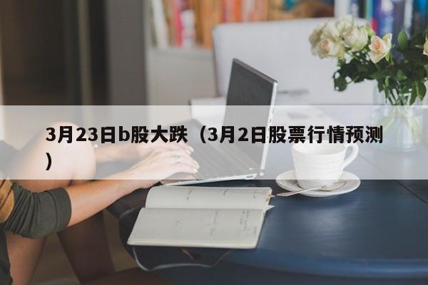 3月23日b股大跌（3月2日股票行情预测）
