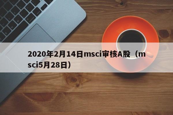 2020年2月14日msci审核A股（msci5月28日）