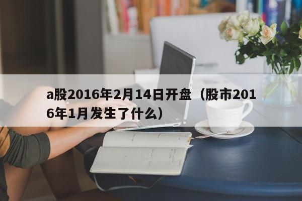 a股2016年2月14日开盘（股市2016年1月发生了什么）