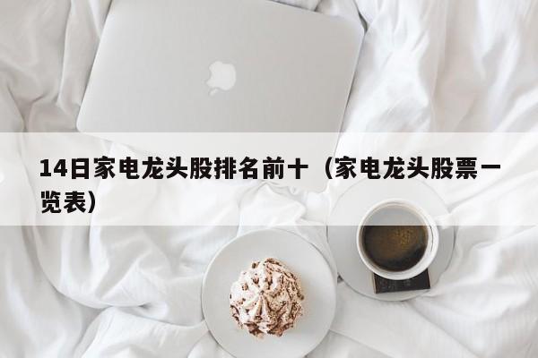 14日家电龙头股排名前十（家电龙头股票一览表）