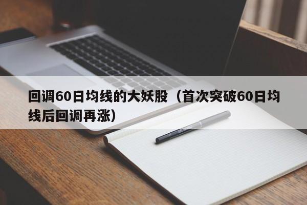 回调60日均线的大妖股（首次突破60日均线后回调再涨）