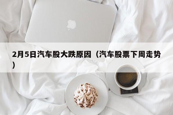 2月5日汽车股大跌原因（汽车股票下周走势）