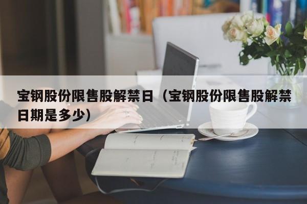 宝钢股份限售股解禁日（宝钢股份限售股解禁日期是多少）