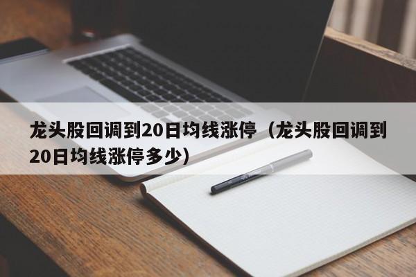 龙头股回调到20日均线涨停（龙头股回调到20日均线涨停多少）