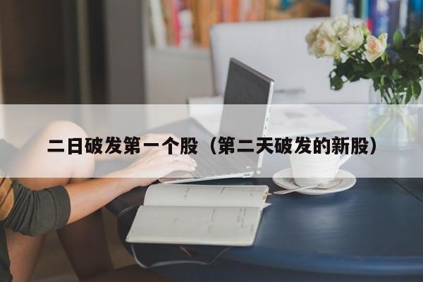 二日破发第一个股（第二天破发的新股）