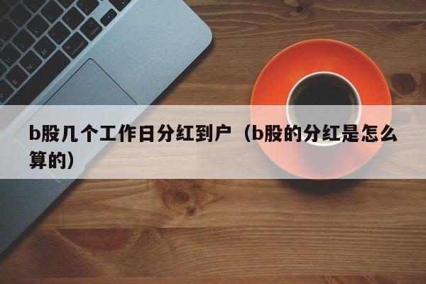 b股几个工作日分红到户（b股的分红是怎么算的）