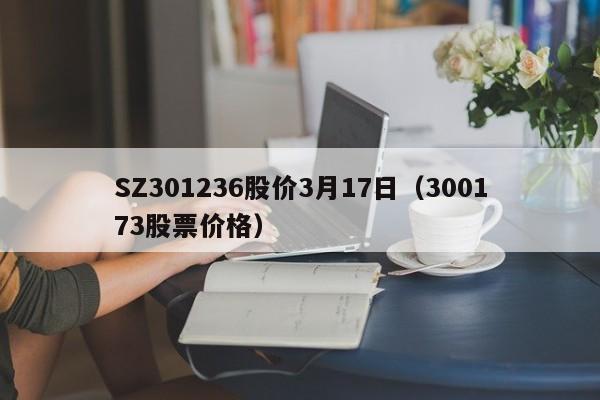 SZ301236股价3月17日（300173股票价格）
