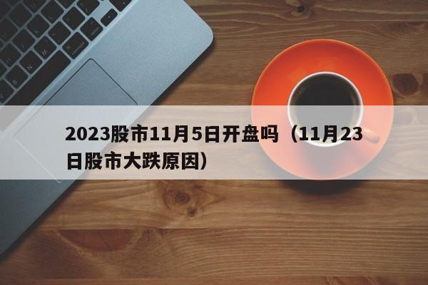2023股市11月5日开盘吗（11月23日股市大跌原因）