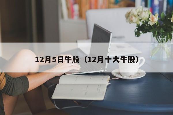 12月5日牛股（12月十大牛股）