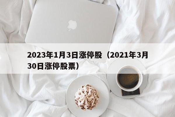 2023年1月3日涨停股（2021年3月30日涨停股票）