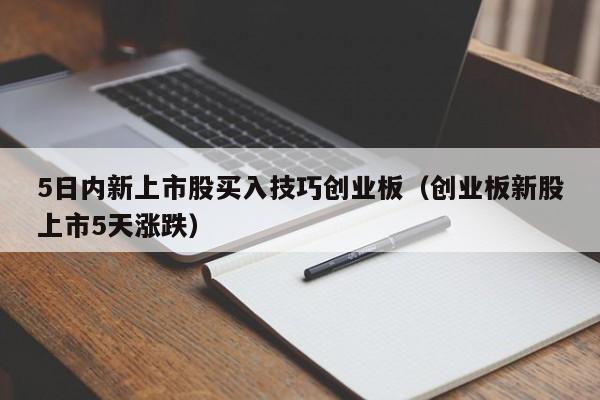 5日内新上市股买入技巧创业板（创业板新股上市5天涨跌）