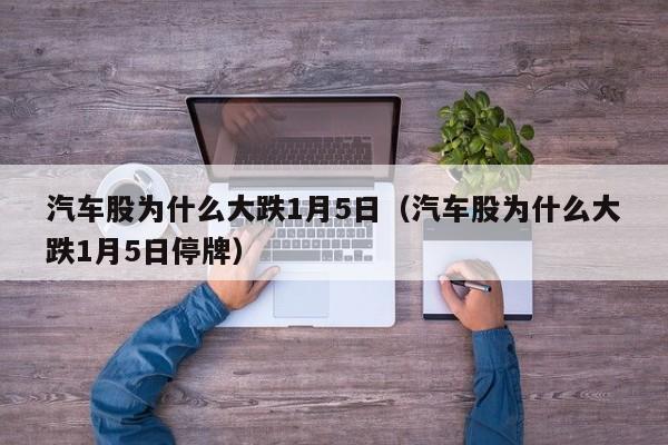 汽车股为什么大跌1月5日（汽车股为什么大跌1月5日停牌）