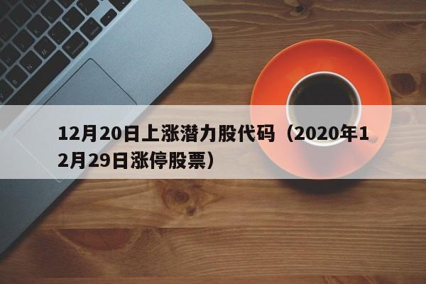 12月20日上涨潜力股代码（2020年12月29日涨停股票）